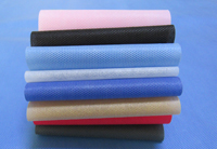 西乡塘涤纶(PET)无纺布是什么